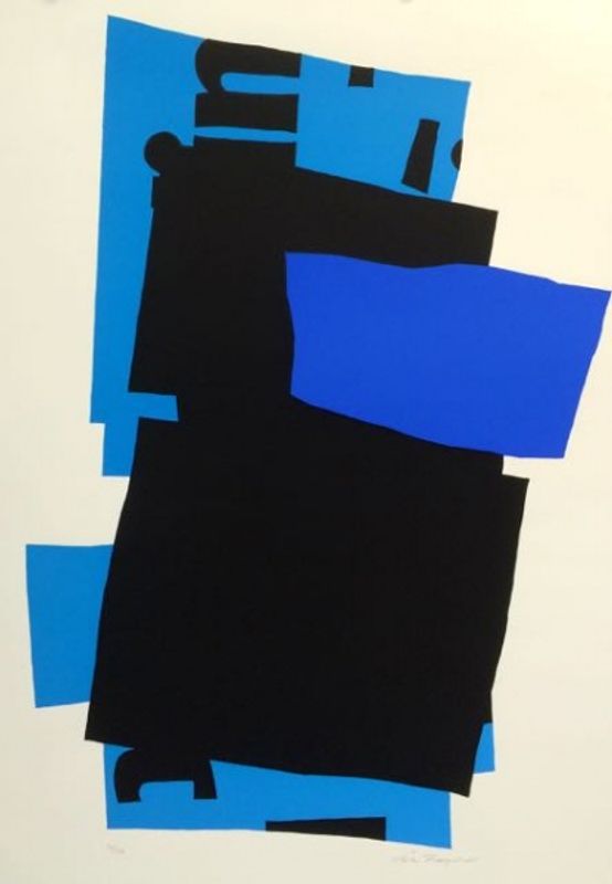 Åse Frøyshov, serigrafi blått
