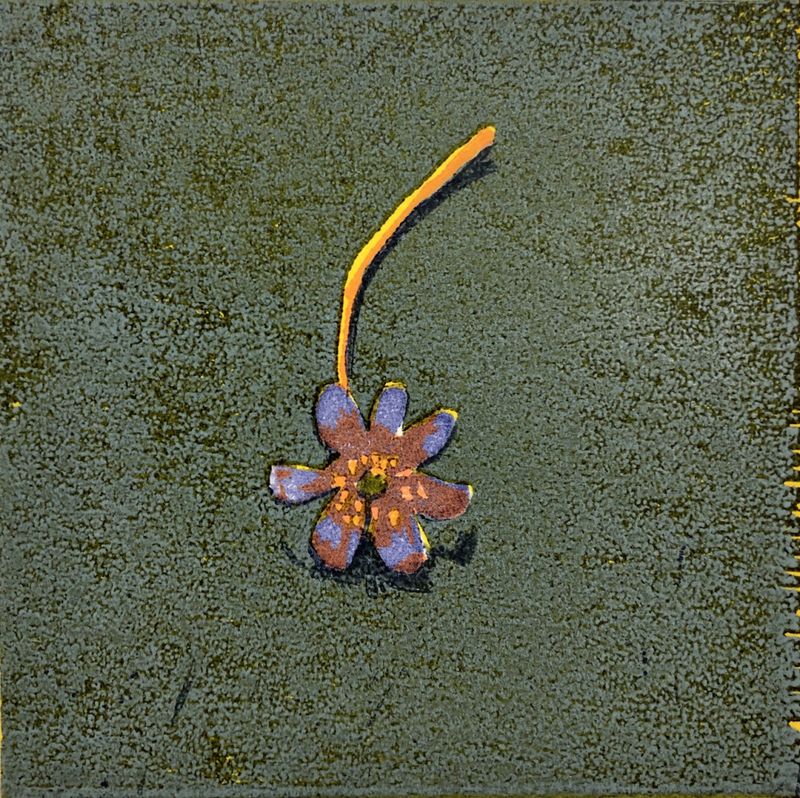 Tor-Arne Moen, Hepatica VI